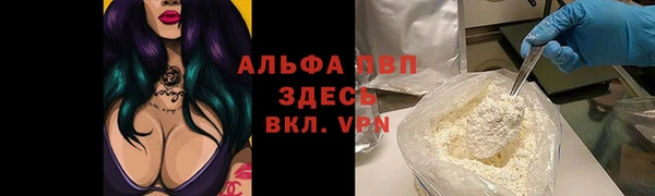 прущие грибы Верхнеуральск