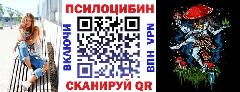 omg как войти  наркотики  Калининград  Галлюциногенные грибы Psilocybe 